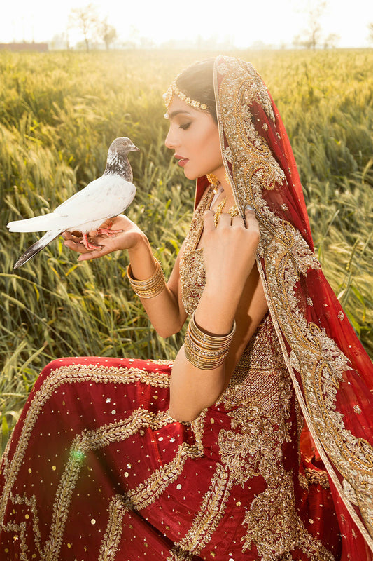 Zareen Raqs