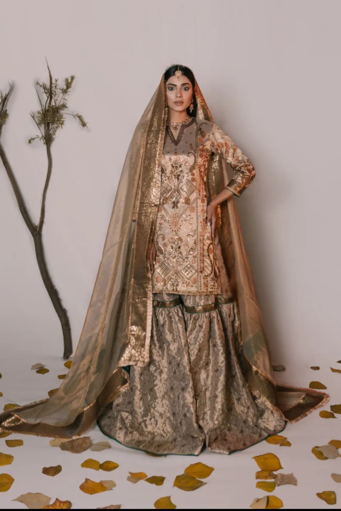 Mehrunisa